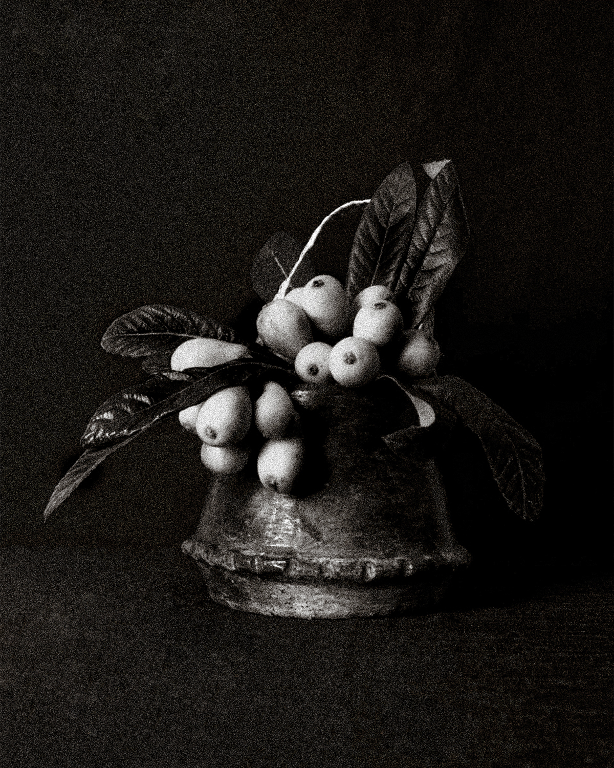 Nature Morte