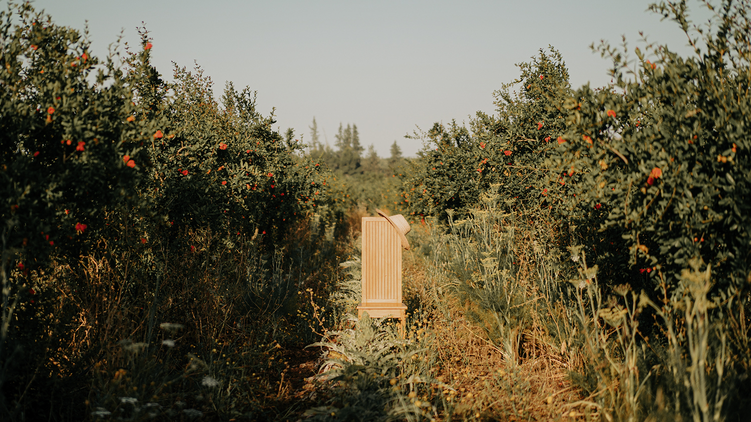 La Beauté En Vert Et Terre